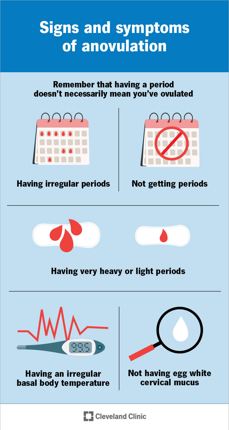 Some signs of anovulation include irregular or absent periods and having heavy or light periods