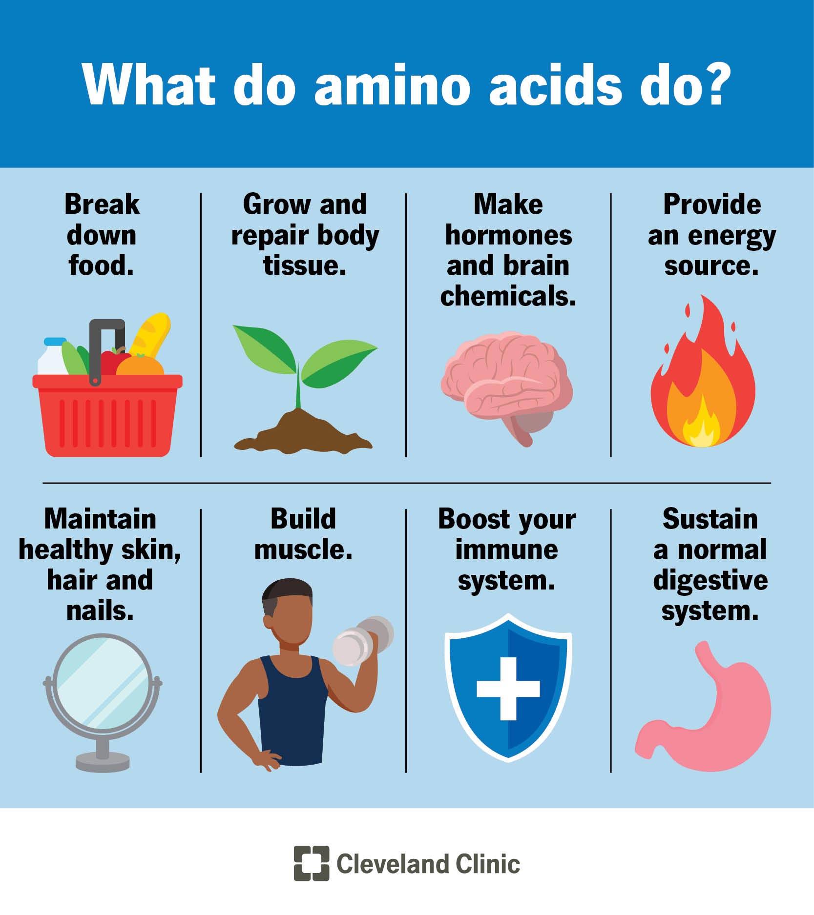 Amino Acid: Benefits & Food Sources