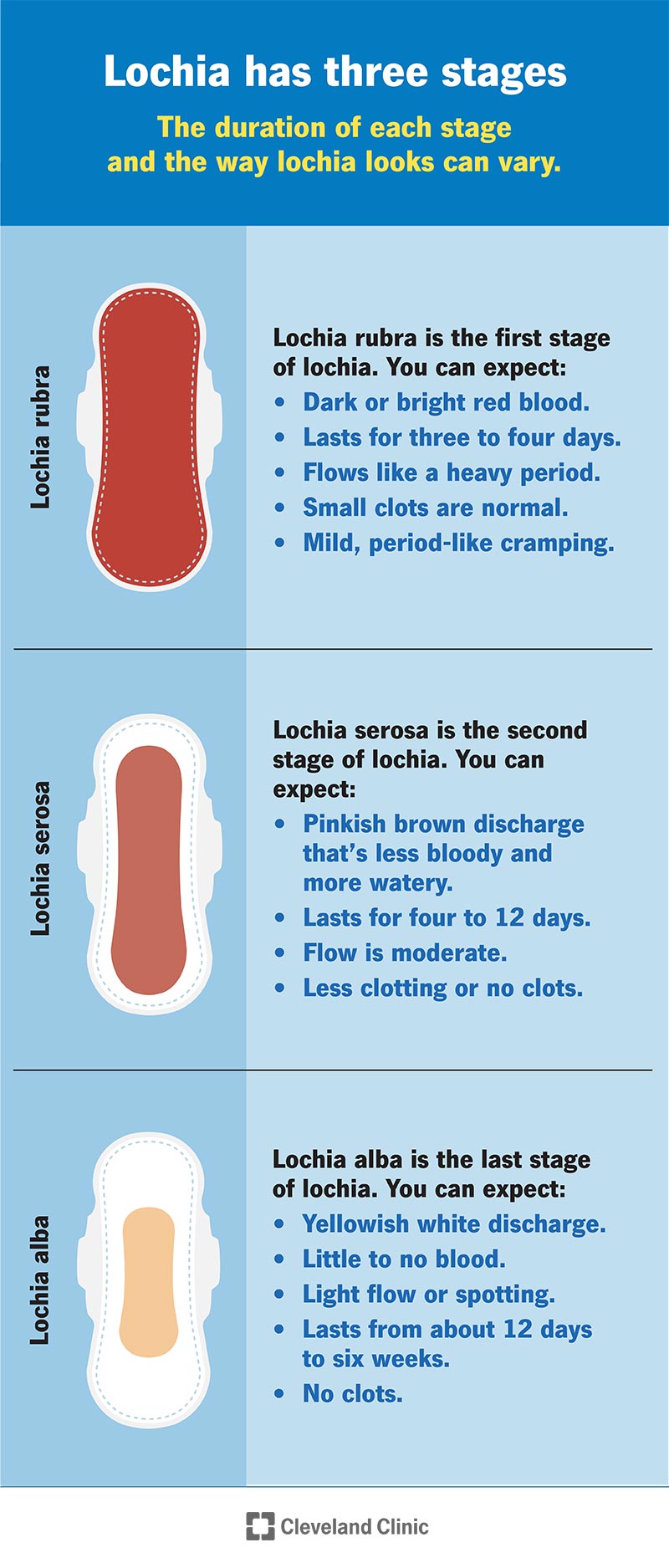 Three stages of lochia, what it looks like and what to expect at each stage.