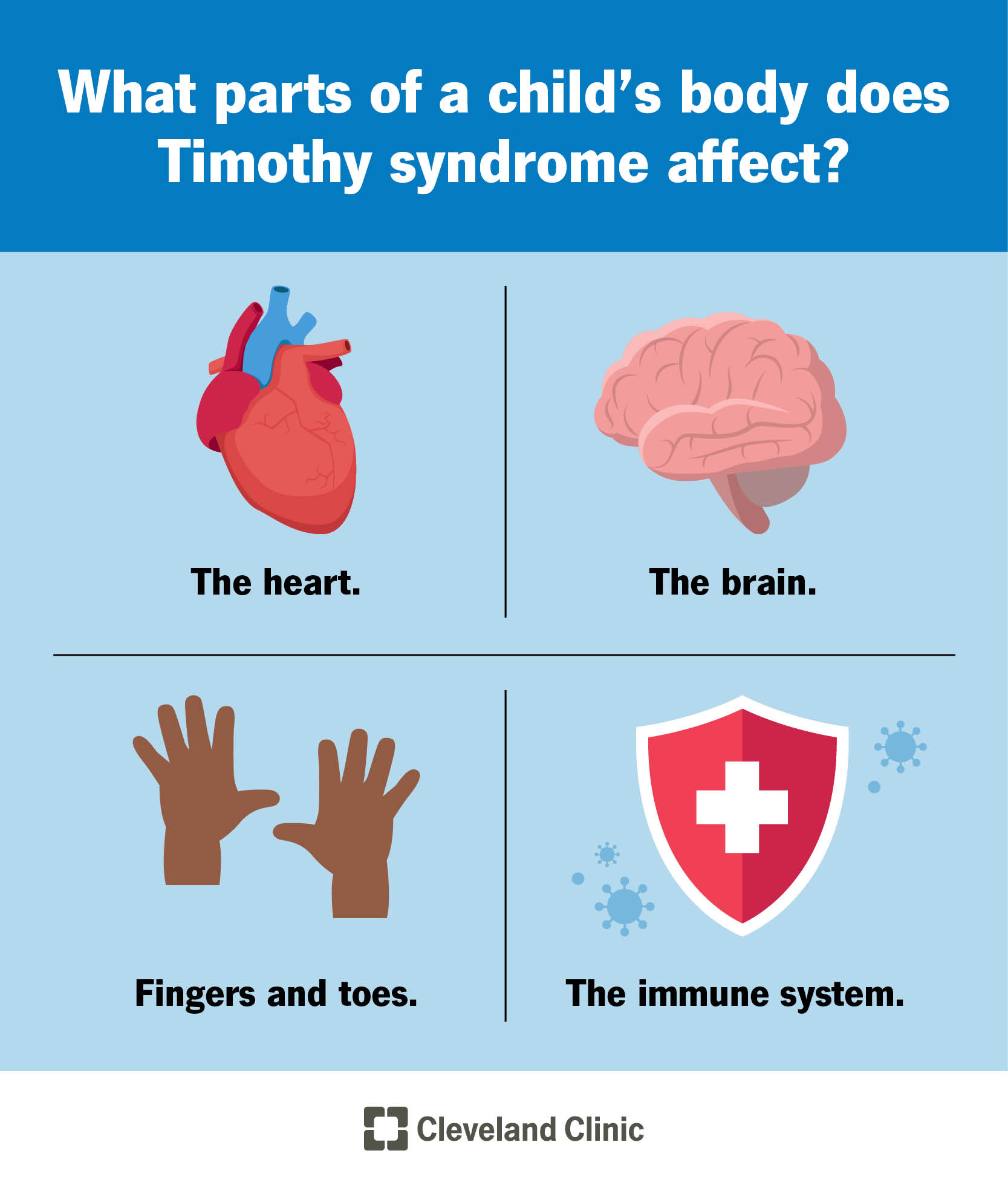 The locations of a child’s body affected by Timothy syndrome. 