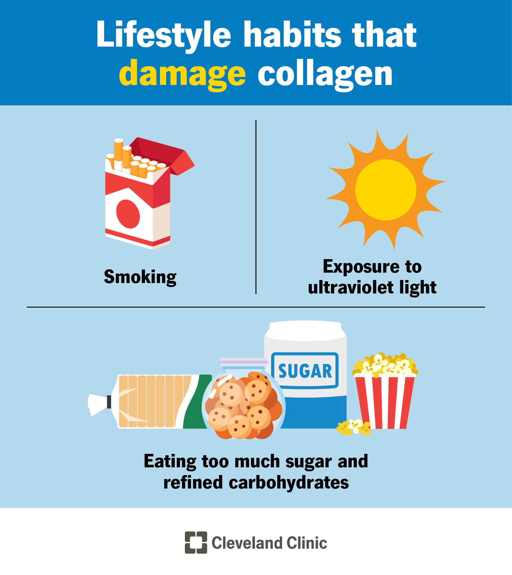 snel Bouwen op stem Collagen: What it is, Types, Function & Benefits