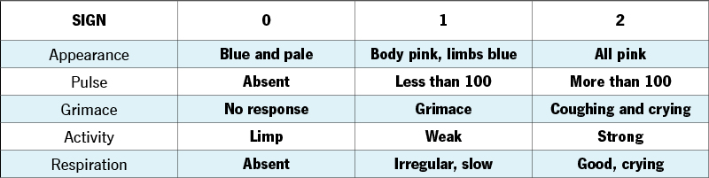 Apgar score chart