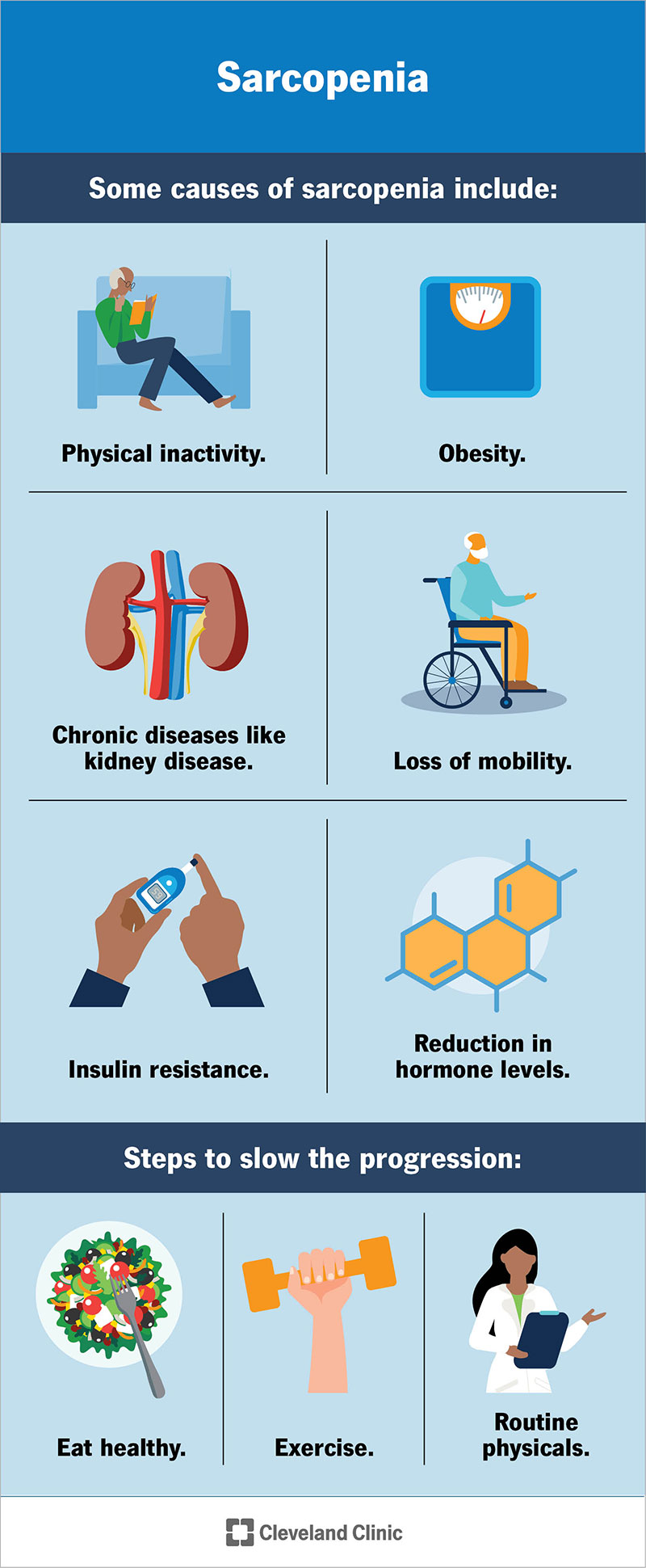 Sarcopenia is thought to occur due to aging, but lack of physical activity, obesity and chronic diseases can also cause the condition.