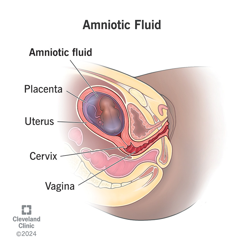 human mucus plug discharge