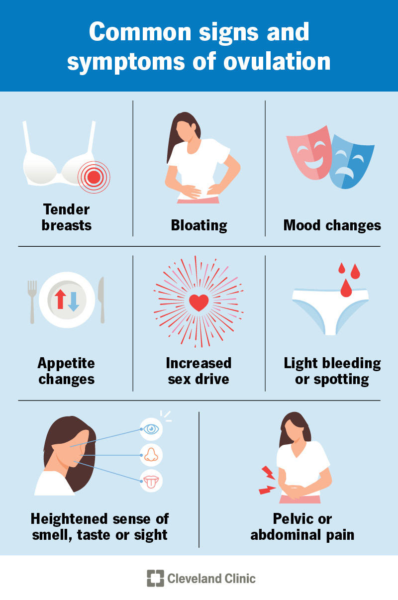 Common signs of ovulation are sore breasts, mood changes, bloating and pelvic pain.