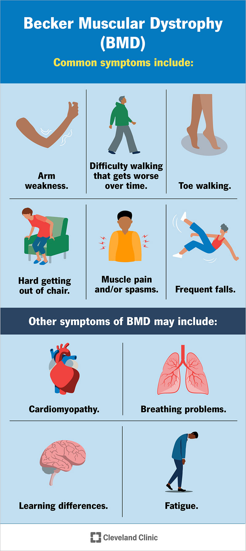 Symptoms of BMD include low tolerance for exercise, difficulty walking, fatigue, muscle pain and spasms, cardiomyopathy and more.
