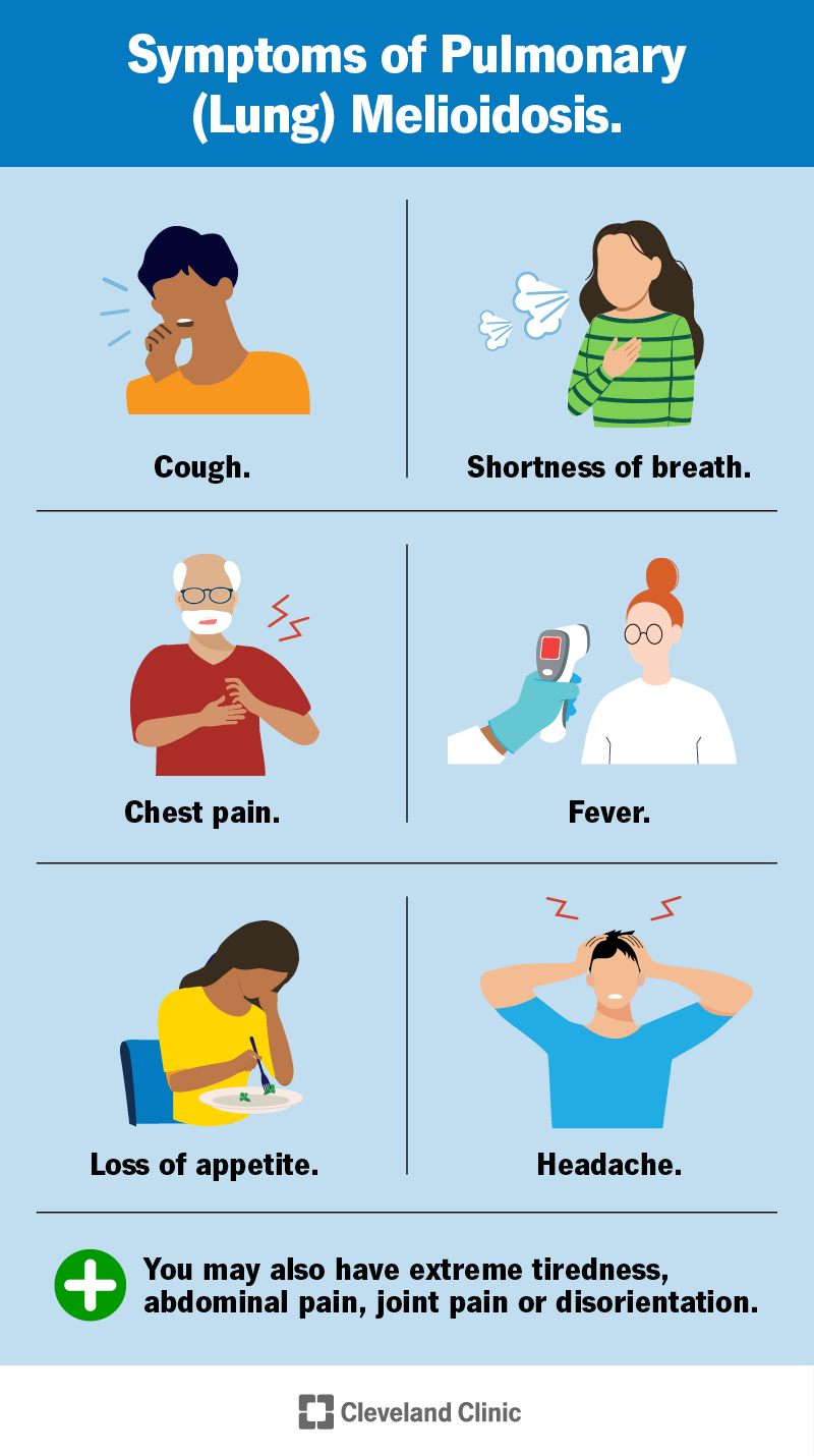 Symptoms of pulmonary melioidosis include cough, shortness of breath, chest pain, fever, loss of appetite, headache and more.