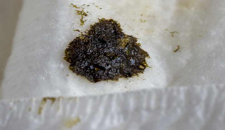 Blackish green, thick and tar-like meconium poop on a white diaper.