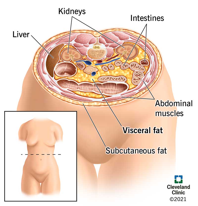 The 10 Best Ways to Measure Your Body Fat Percentage