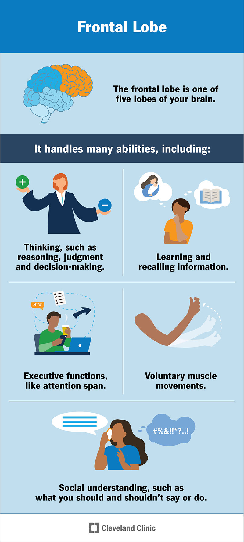 The frontal lobe controls many different abilities, ranging from movement and memory storage to judgement and social skills.