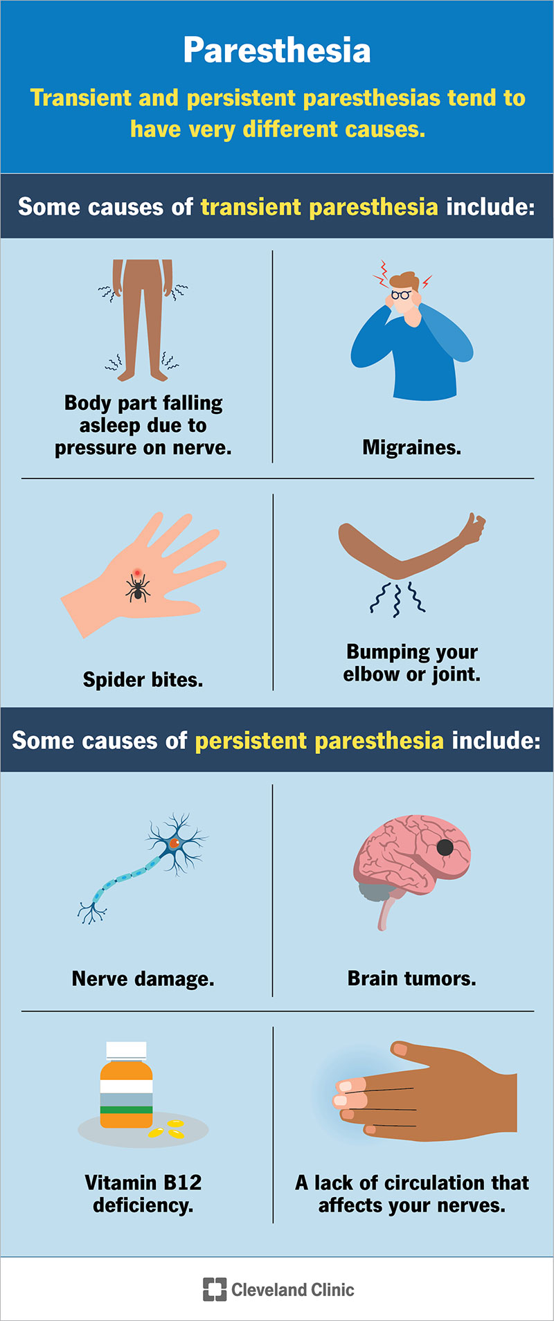 Paresthesia can be transient and short-lived or persistent and long-lasting. Persistent causes are usually more serious.