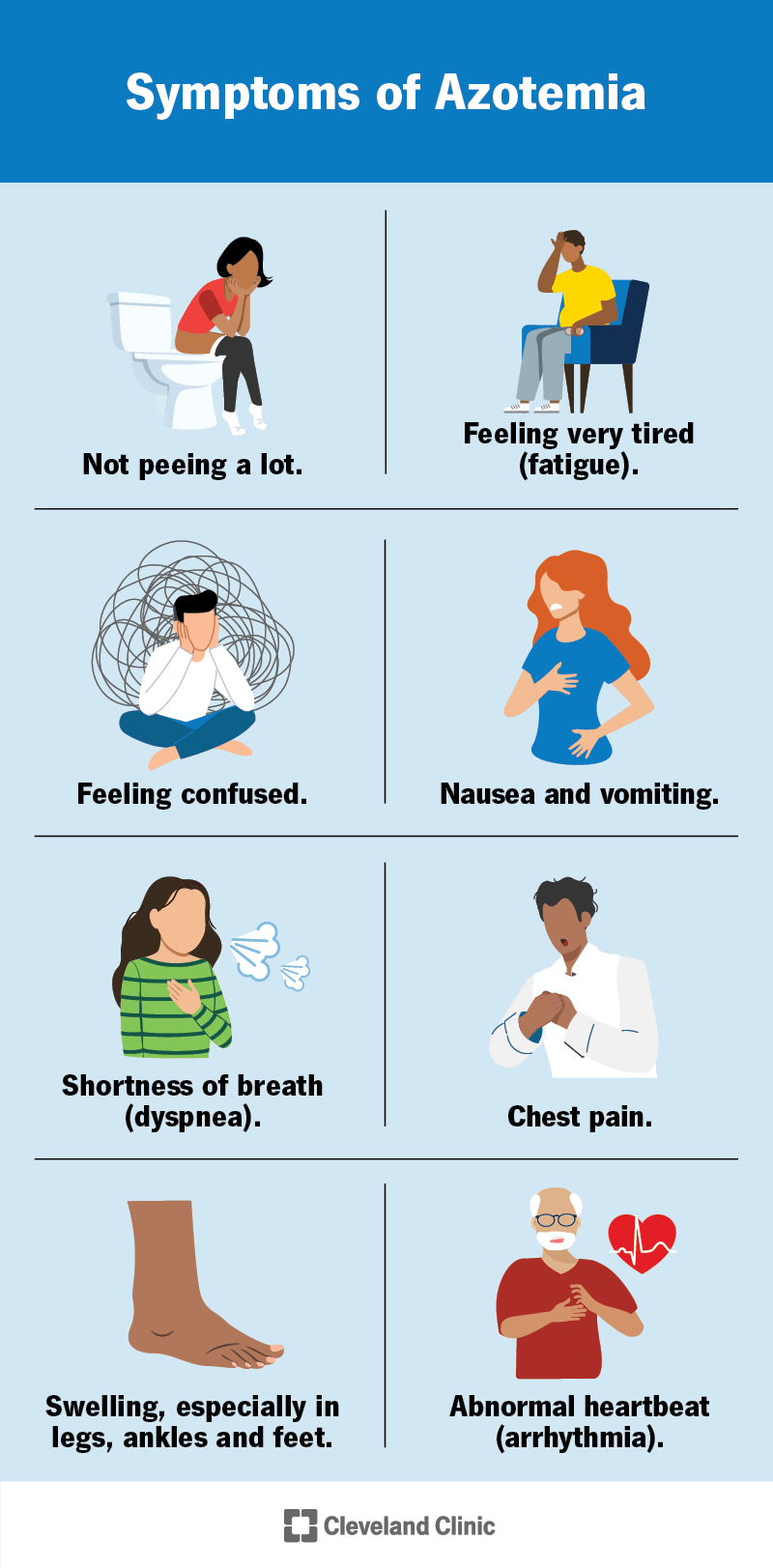 Azotemia symptoms may not appear until a later stage. They may include fatigue, nausea, problems peeing and swelling.