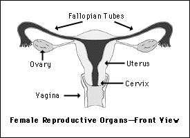 Period Pain: Types, Causes, and Treatments