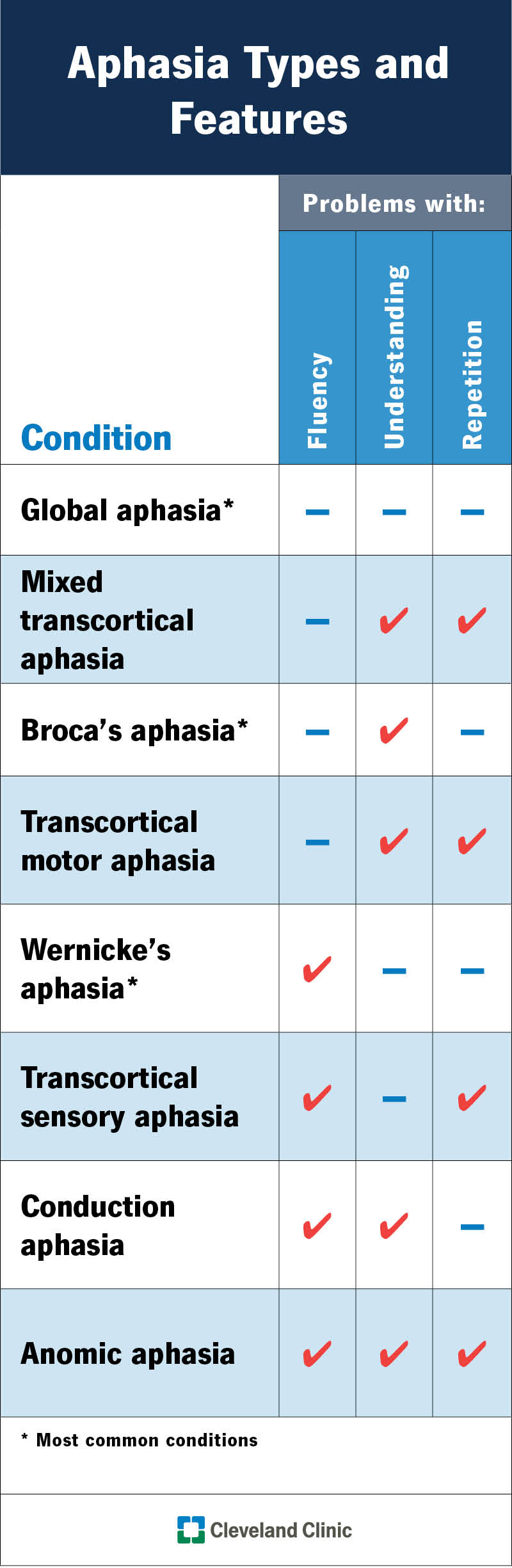 Experts determine the type of aphasia based on three criteria: fluency, repetition and understanding.