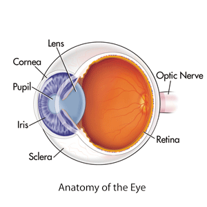 Gemakkelijk Regenachtig Verkoper Corneal Disease: Keratitis, Eye Herpes, & More