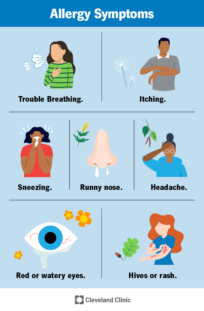 Common Allergy Symptoms