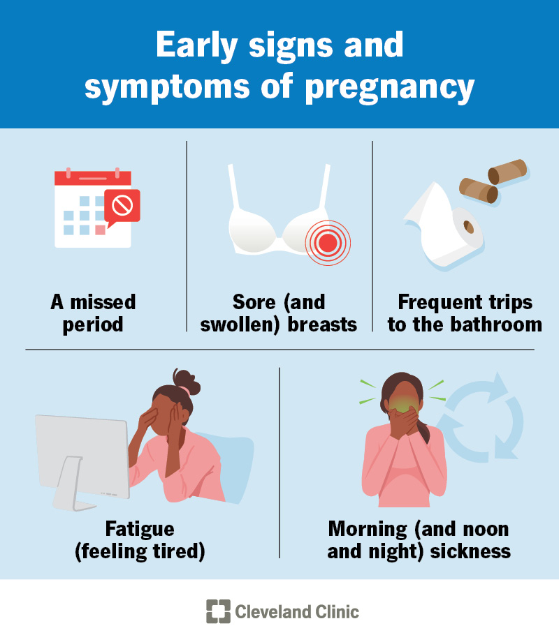 Signs and symptoms of early pregnancy are a missed period, fatigue and morning sickness