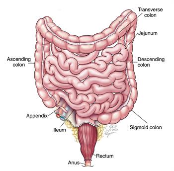 manométrie anorectale