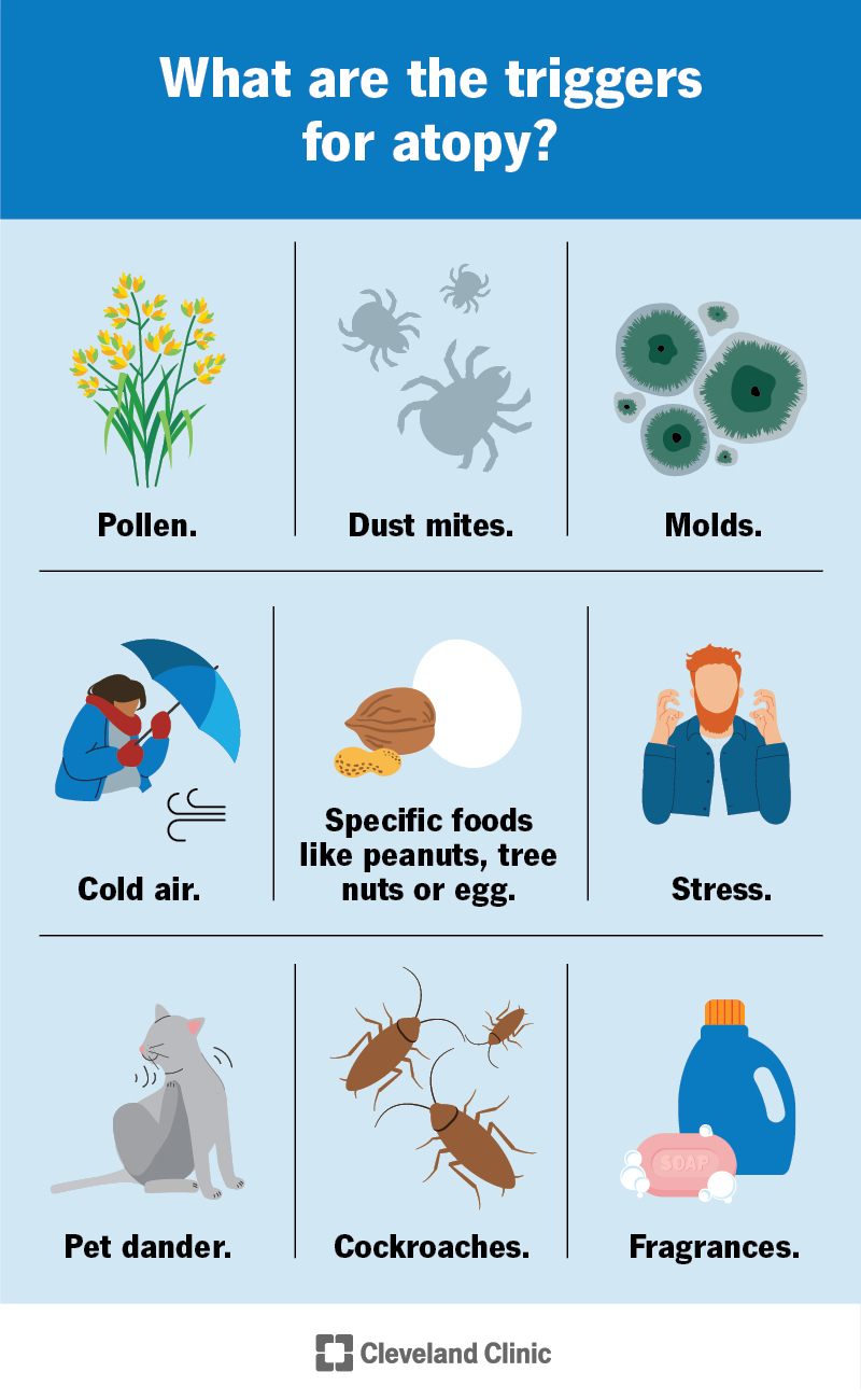 Atopy triggers include pollen, pet dander, dust mites, mold, certain foods, fragrances, cockroaches, cold and stress.