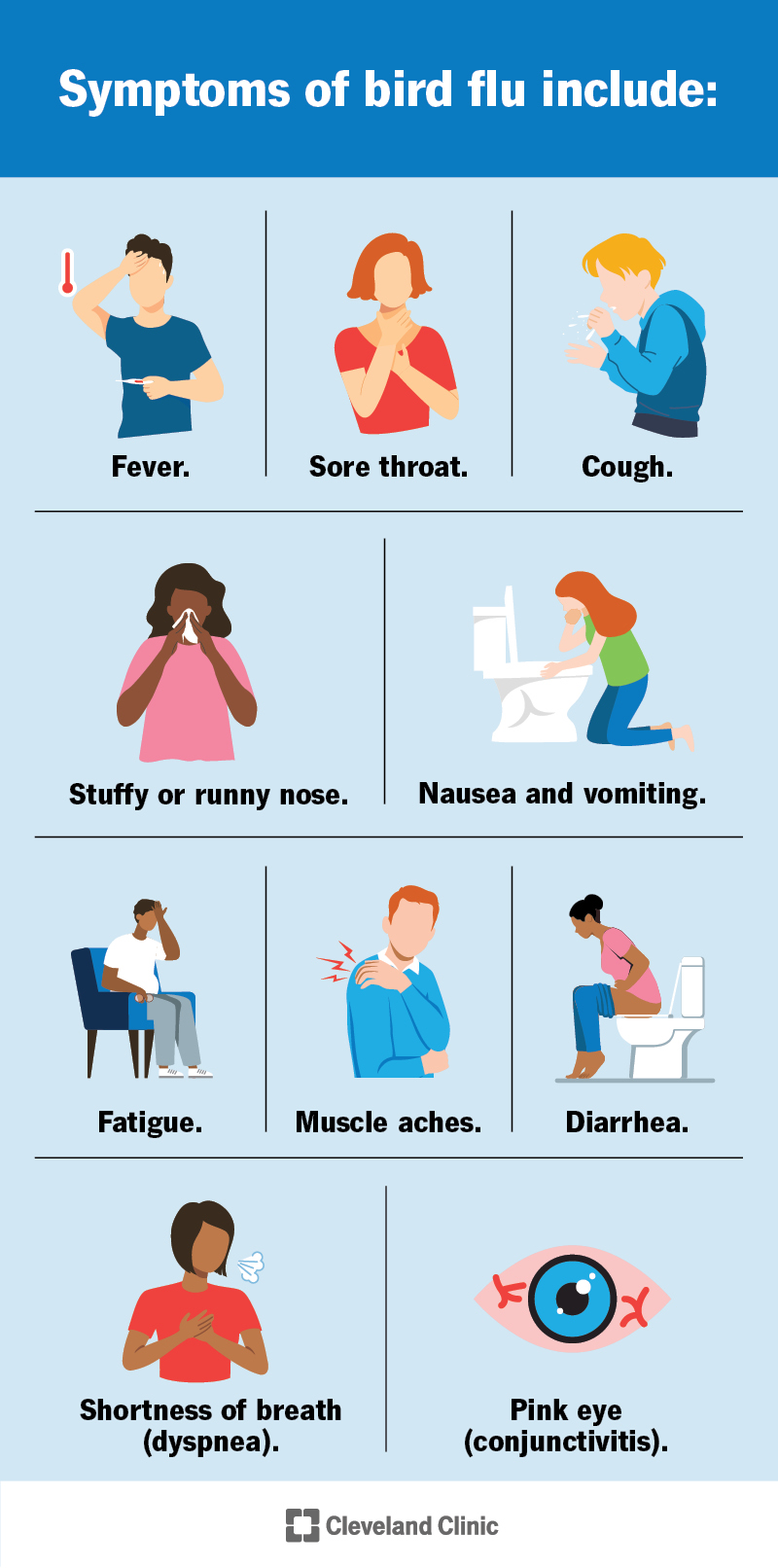 Bird flu symptoms include fever, sore throat, cough, stuffy or runny nose, fatigue, muscle aches, digestive issues and more.