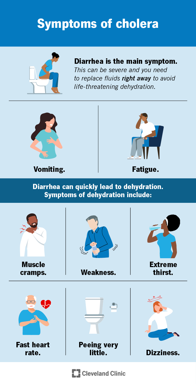 Symptoms of cholera and dehydration, including diarrhea, vomiting, fatigue, muscle cramps, weakness and dizziness