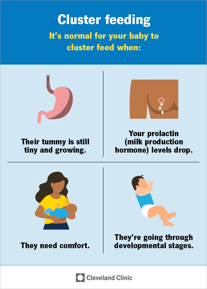 It’s normal for your baby to cluster feed at certain times, like when they’re first born and have a tiny tummy