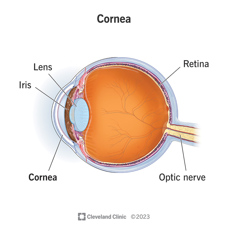 Eye Center South Panama City Fl