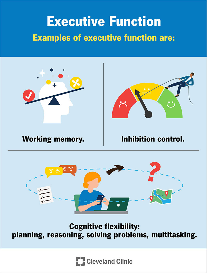 Examples of executive function, like absorbing new information, managing emotions and balancing tasks
