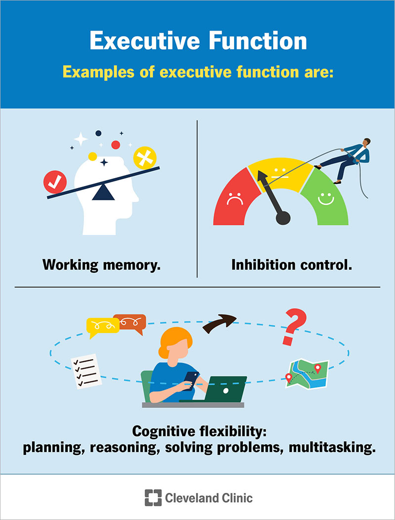 Executive Function: What It Is, How To Improve & Types