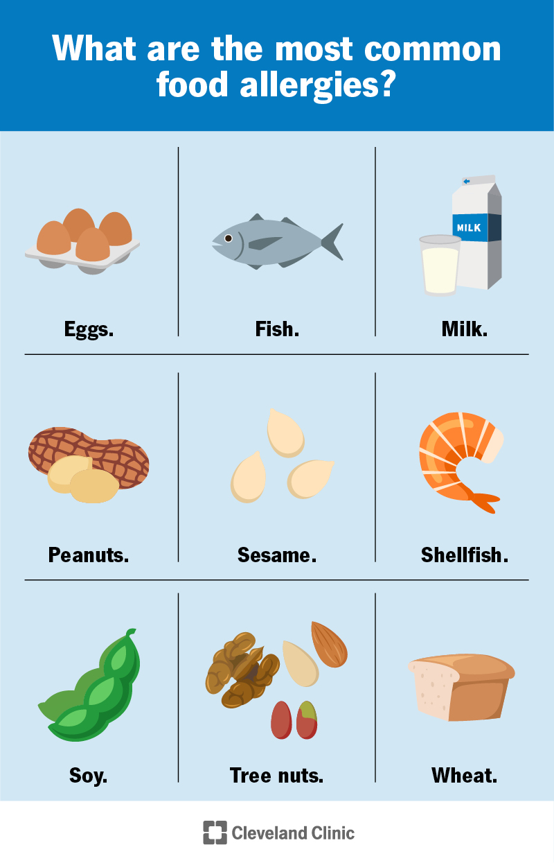 The most common food allergies are peanuts, tree nuts, fish, shellfish, egg, milk, wheat, soy and sesame.