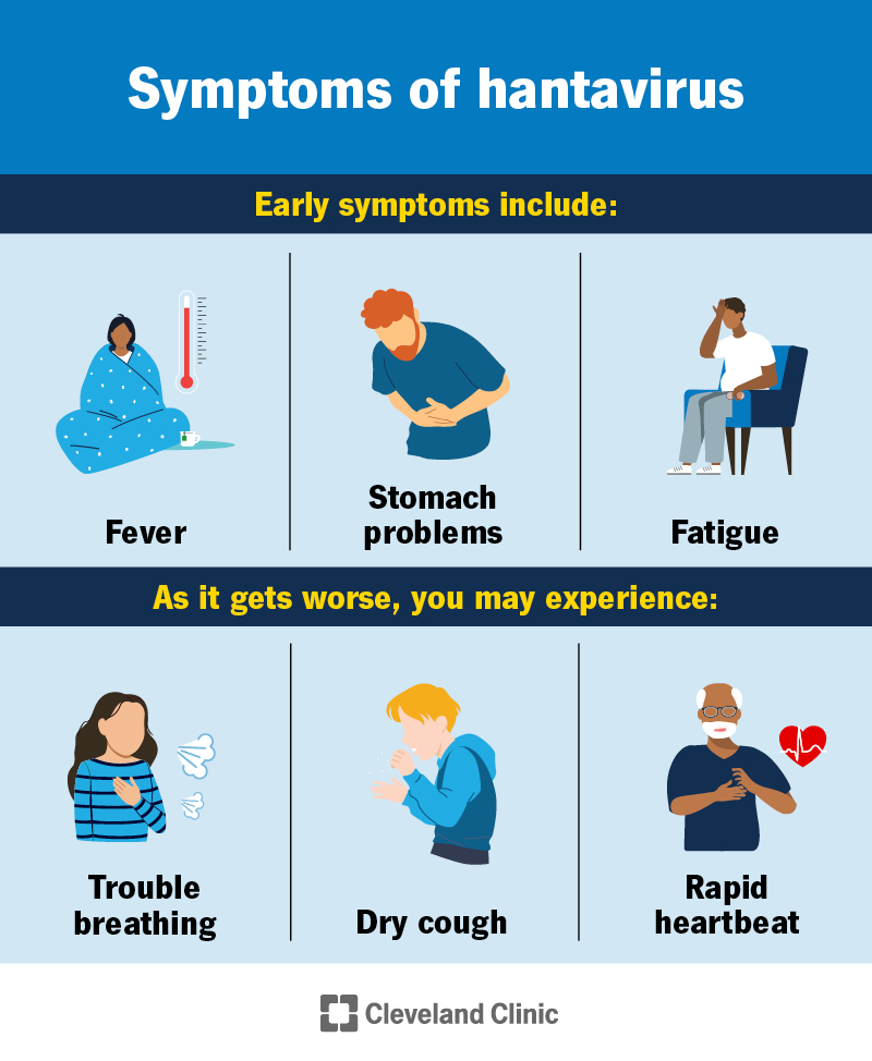 Hantavirus symptoms include fever, stomach issues, fatigue, trouble breathing, fast heartbeat and dry cough
