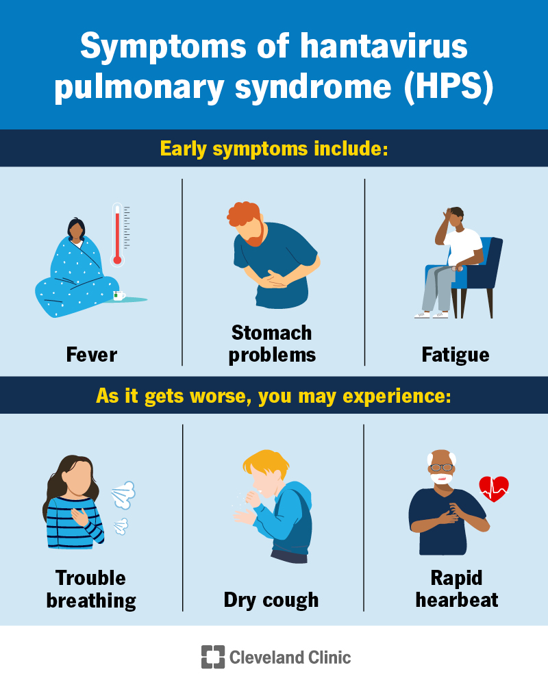 Symptoms of hantavirus pulmonary syndrome include fever, fatigue, trouble breathing, dry cough and rapid heartbeat