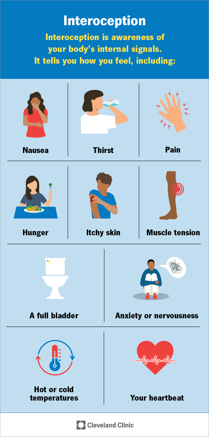 Examples of the senses or signals you might feel with interoception include your heartbeat, nausea and hunger