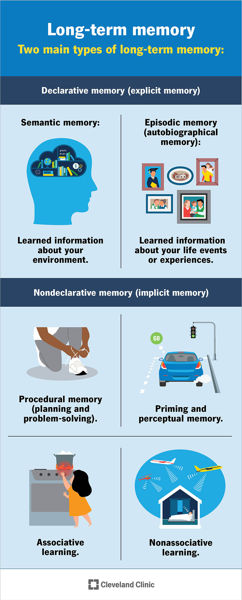 The two main types of long-term memory and their sub-types