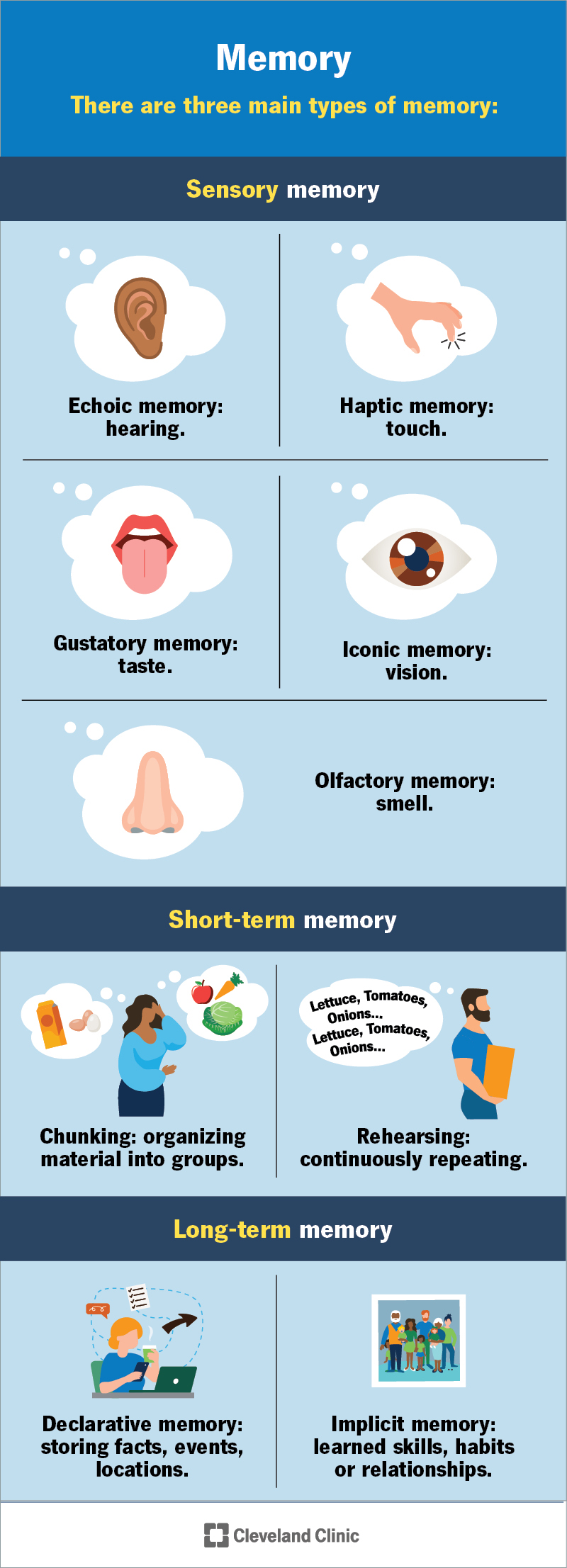 The three types of memory, sensory, short term and long term, and techniques used to help you retain information