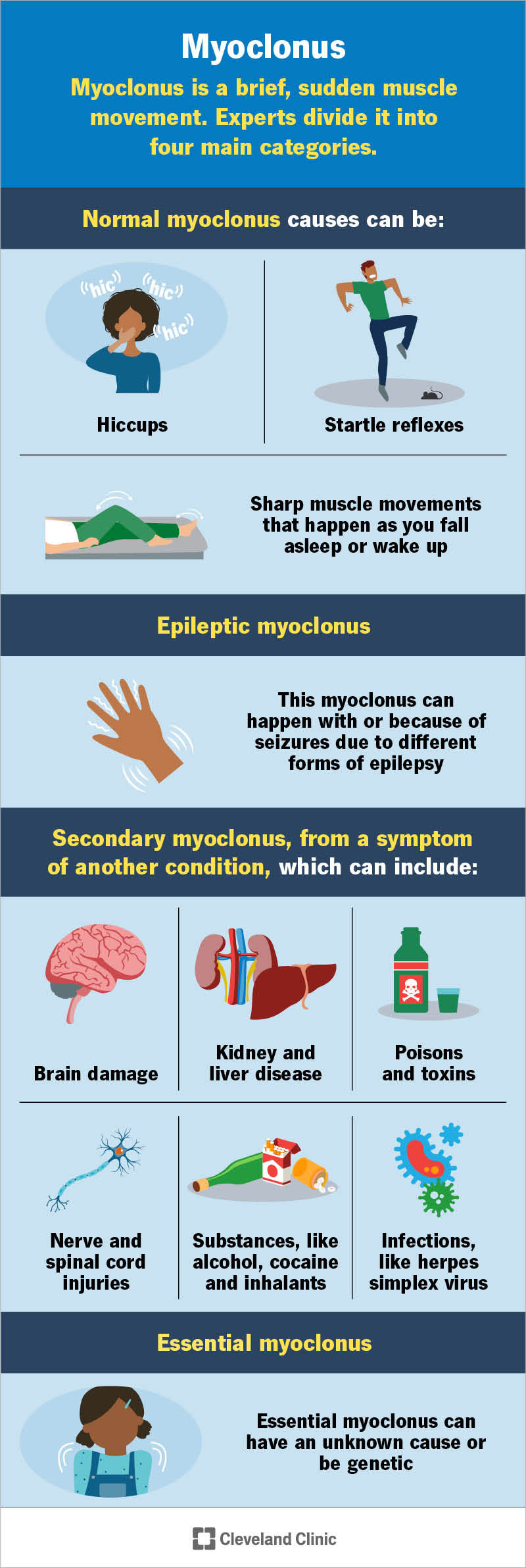 Myoclonus has 4 categories: normal myoclonus (like hiccups), epileptic myoclonus, secondary myoclonus and essential myoclonus