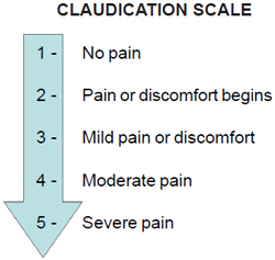 Claudicatio-Skala