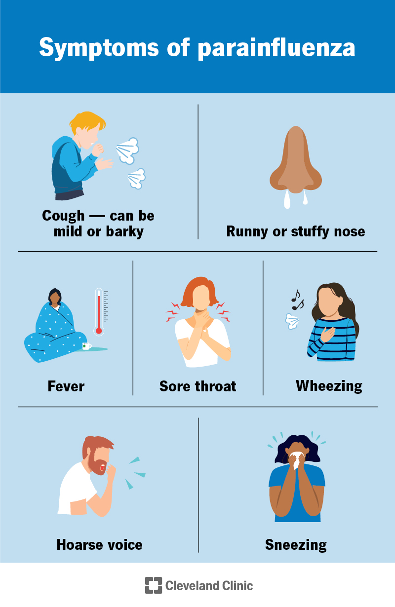 Symptoms of parainfluenza, including cough, runny or stuffy nose, fever, sore throat, wheezing, hoarse voice and sneezing