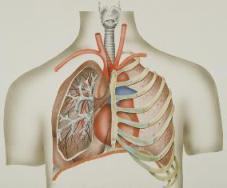 Pulmonary Embolism