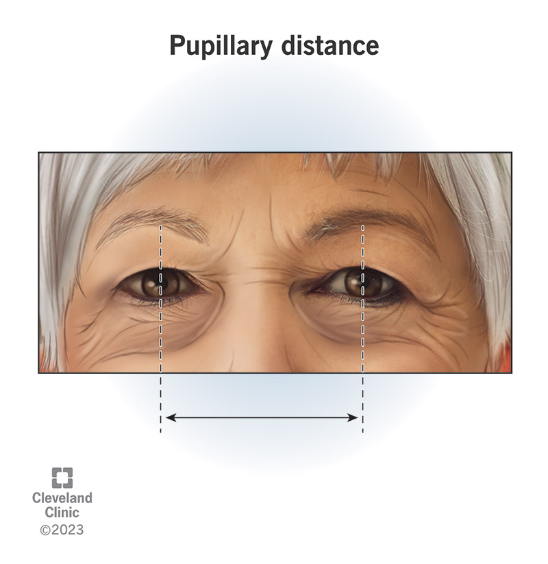 Pupillary distance is the distance between the pupils of your eyes.
