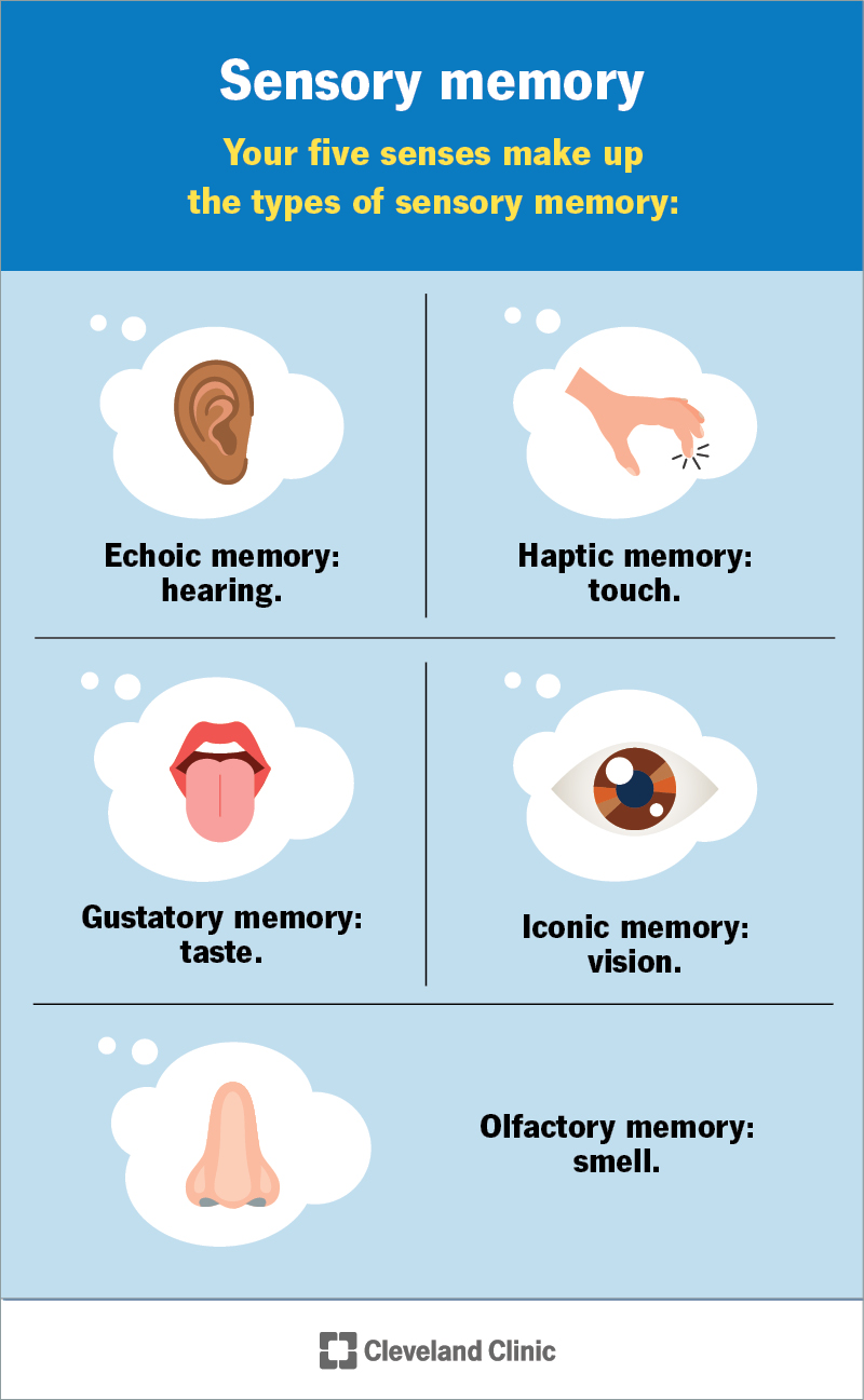 The five types of sensory memory