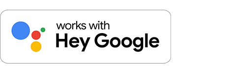works with Hey Google