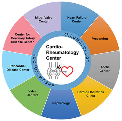 Cardio-rheumatology Circle