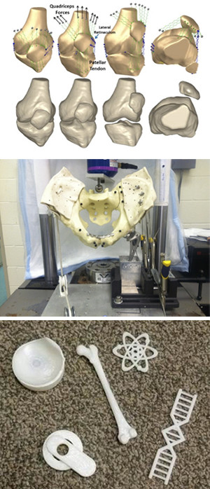 Biomechanics Laboratory - Bone Research - Akron General