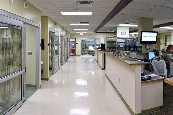 Image of Lodi Hospital Hallway