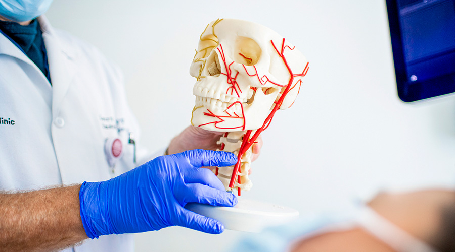 A Cleveland Clinic caregiver showing a lying down patient a model of a skull covered in veins and arteries.