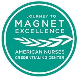 Journey to Magnet Excellence Logo