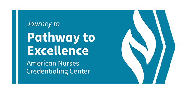 Journey to Pathway to Excellence logo