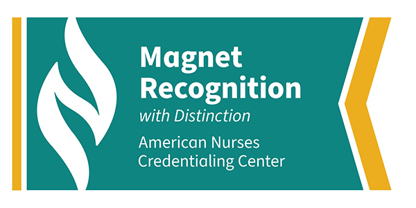 Magnet Recognition with Distinction logo