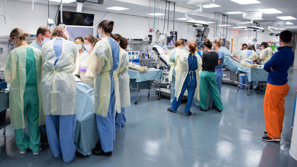 Obstetrics and Gynecology Residency Program | Cleveland Clinic